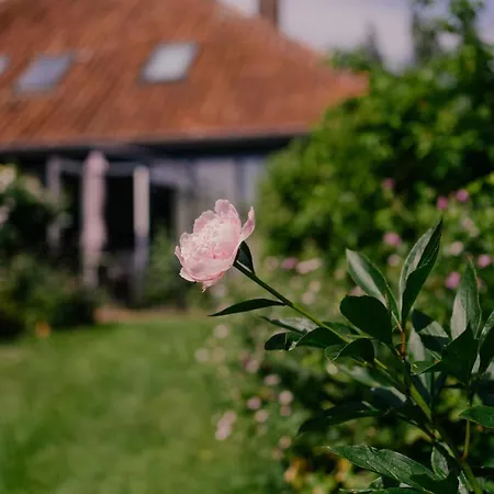 Garden House